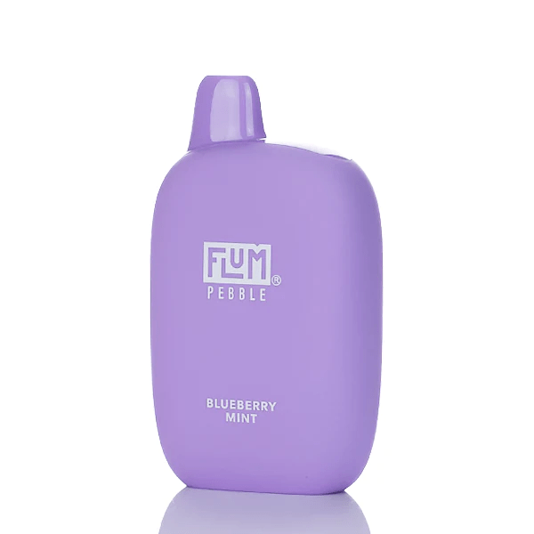 flum disposable vape blueberry mint flum pebble